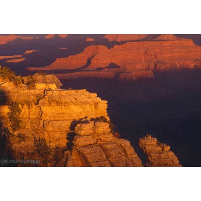 Murale Grand Canyon 